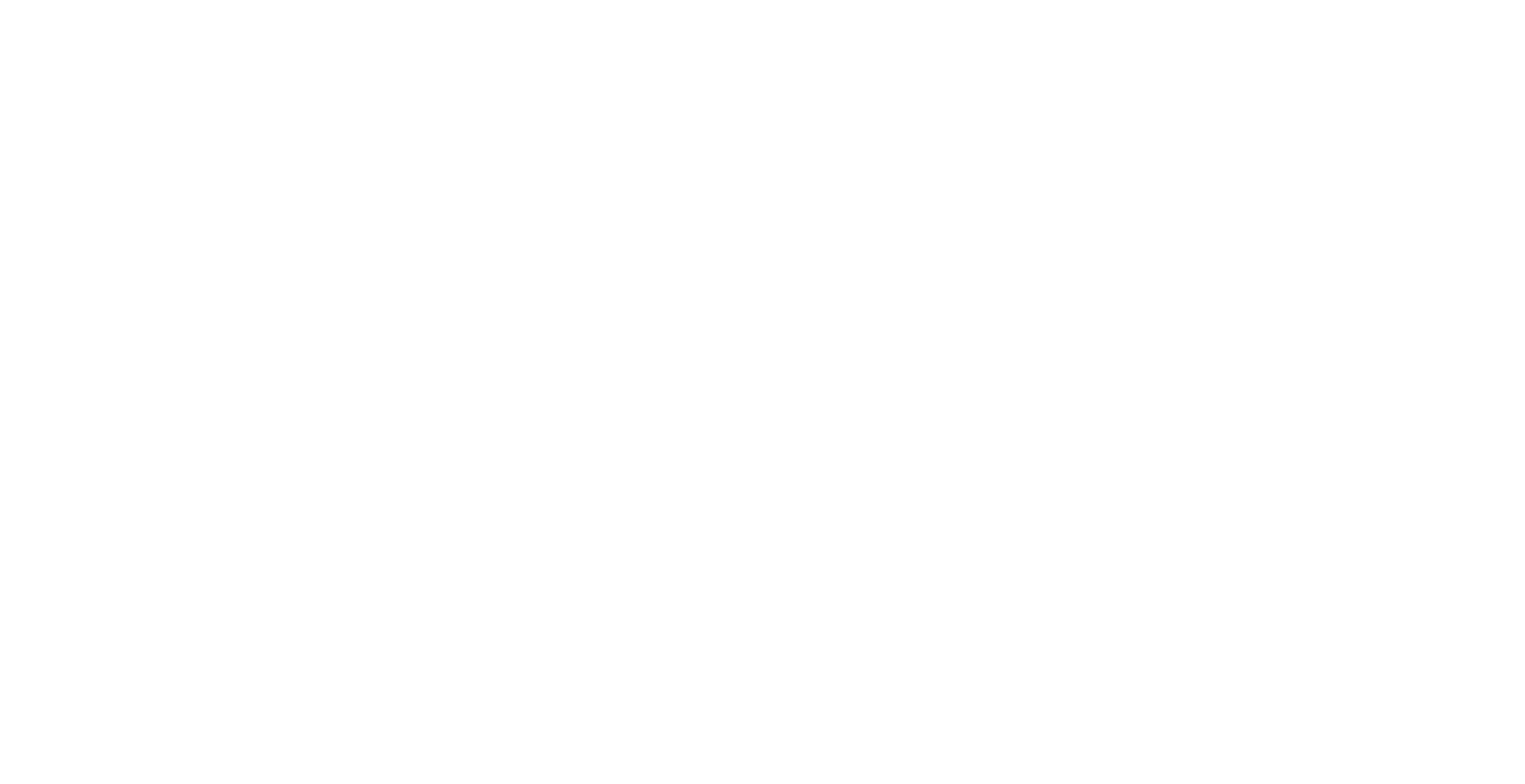 logo-fdnoir